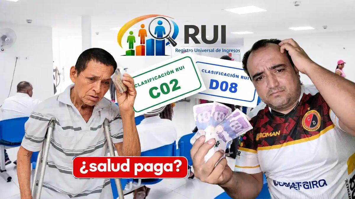 Ilustración de referencia, no es una captura oficial en vivo del portal — Circula un 'nuevo link' para consultar el puntaje del RUI: qué hay de cierto